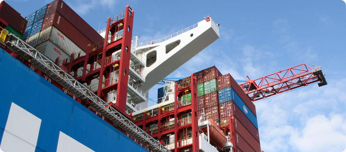 ���һ�廯����