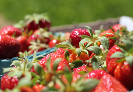 77779193��������