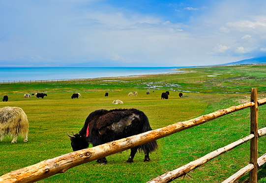 77779193��������